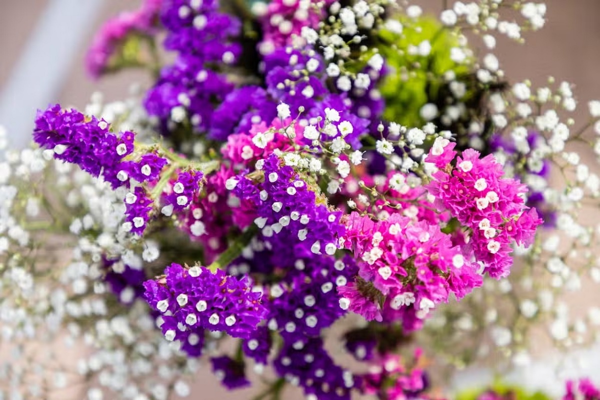 Casarse en Las Vegas